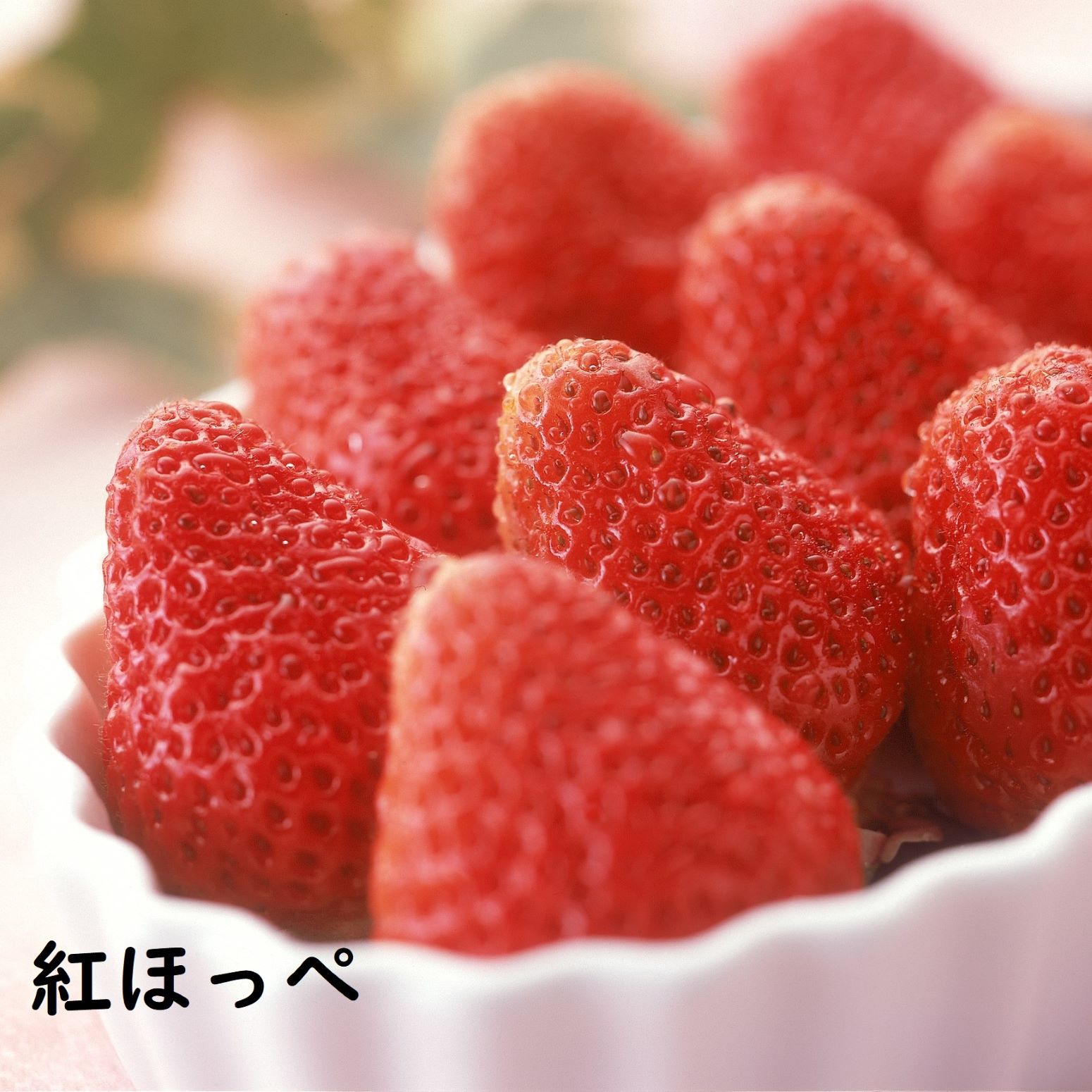 (限定商品)【フルーツワールド】紅ほっぺいちご2パック（1月中旬～2月下旬頃発送予定）