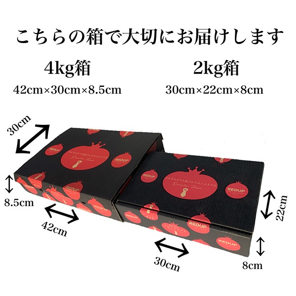 【レッドアップ】ソムリエトマト８００ｇとソムリエミニトマト　プラチナ８００ｇ（2025年1月下旬以降順次発送予定）