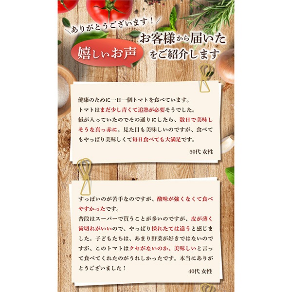 【レッドアップ】ソムリエトマト８００ｇとソムリエミニトマト　プラチナ８００ｇ（2025年1月下旬以降順次発送予定）