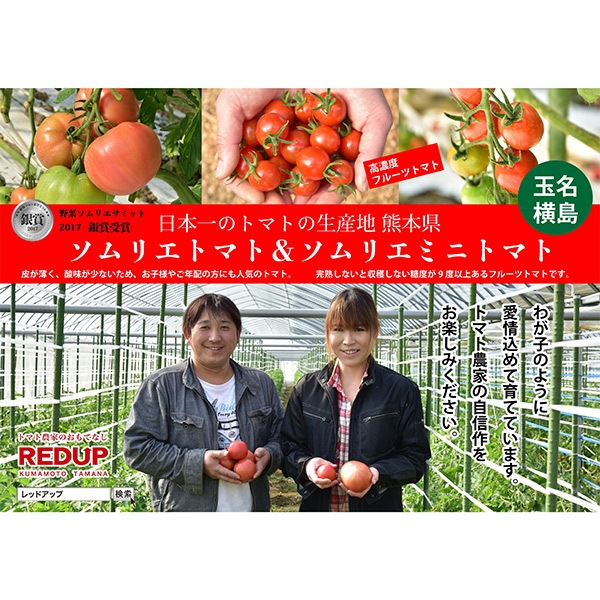 【レッドアップ】ソムリエトマト８００ｇとソムリエミニトマト　プラチナ８００ｇ（2025年1月下旬以降順次発送予定）