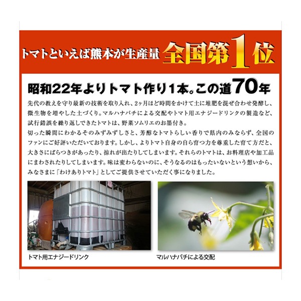 【レッドアップ】ソムリエトマト８００ｇとソムリエミニトマト　プラチナ８００ｇ（2025年1月下旬以降順次発送予定）