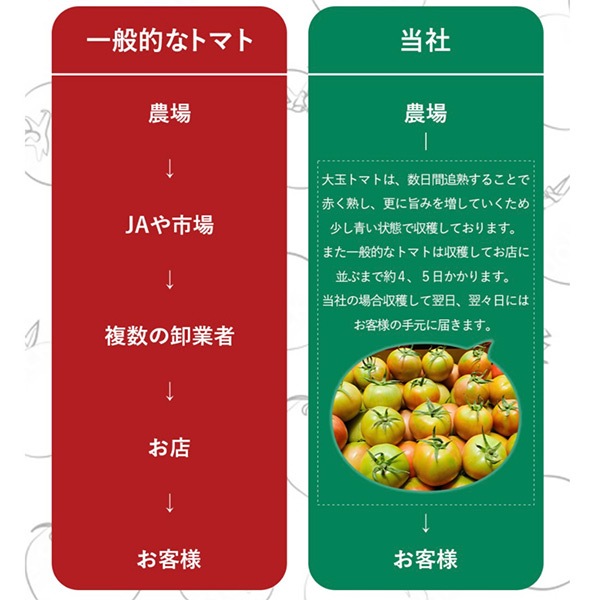 【レッドアップ】ソムリエトマト８００ｇとソムリエミニトマト　プラチナ８００ｇ（2025年1月下旬以降順次発送予定）