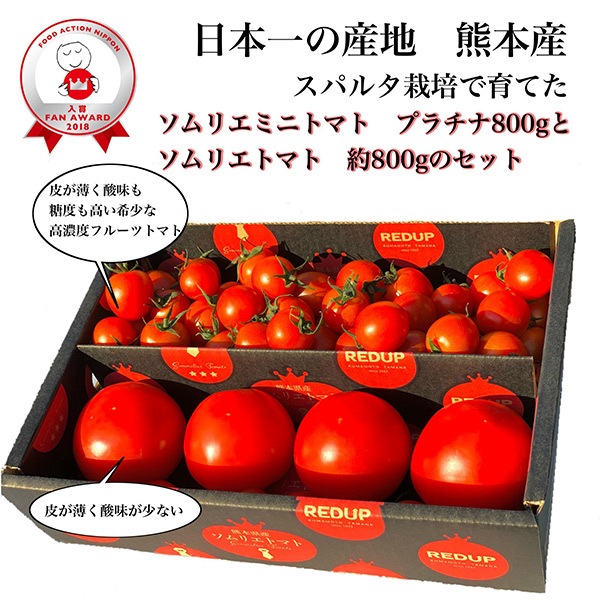 【レッドアップ】ソムリエトマト８００ｇとソムリエミニトマト　プラチナ８００ｇ（2025年1月下旬以降順次発送予定）