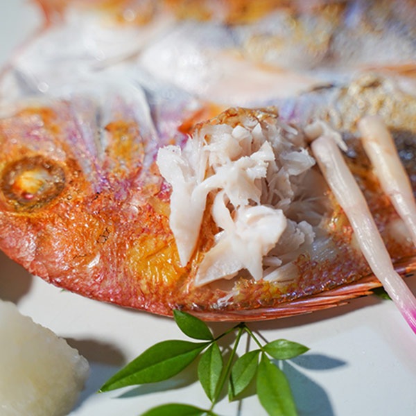 【岡富商店】三人前地魚ひものセット