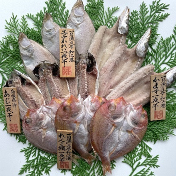 【岡富商店】「一日漁」八雲立