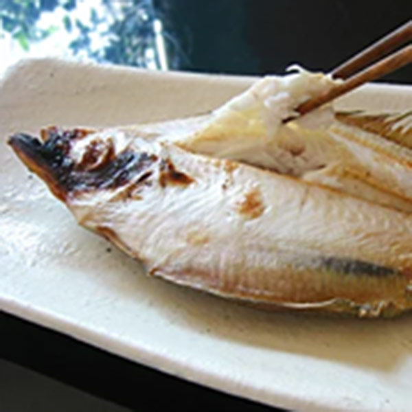 【岡富商店】「一日漁」八雲立