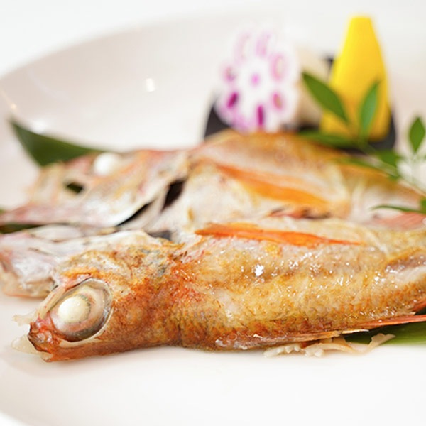 【岡富商店】「一日漁」八雲立