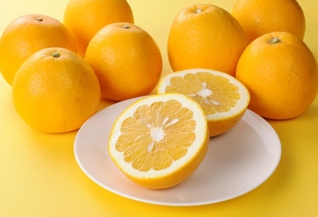 (限定商品)【フルーツワールド】土佐文旦（2月上旬～2月下旬頃発送予定）