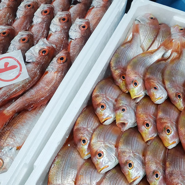 【岡富商店】しまねの和食セット「朝凪」