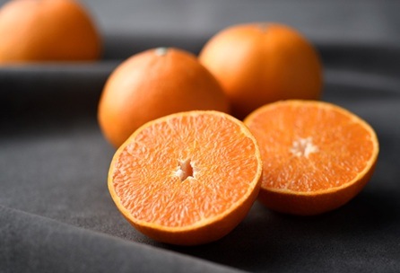 (限定商品)【フルーツワールド】せとか（3月上旬～3月中旬頃発送予定）