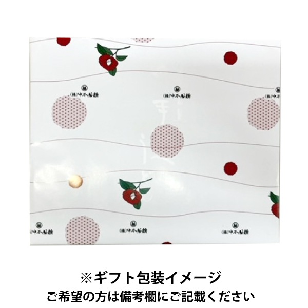 【中本製麺】五島うどんNN-3