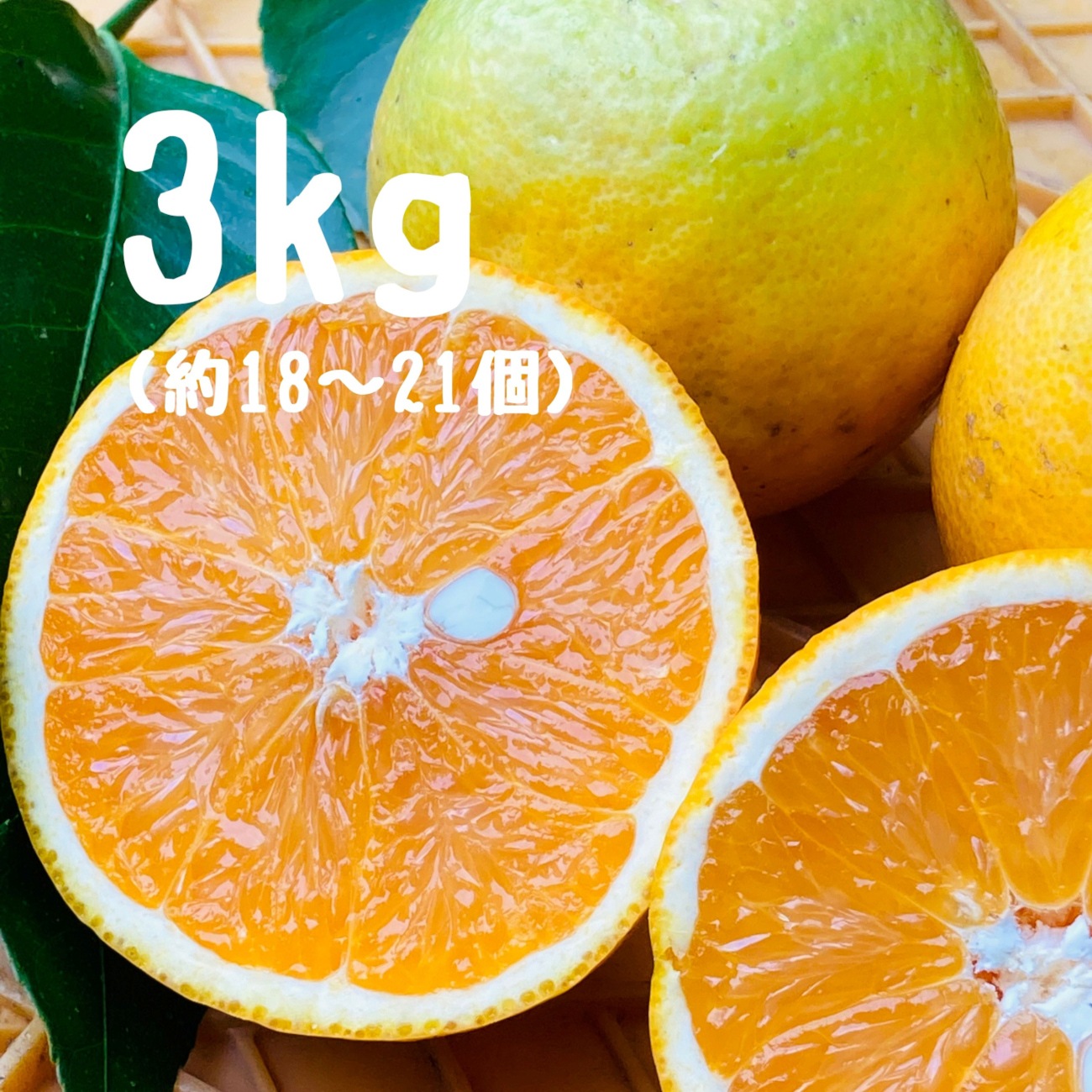 【みかんのみっちゃん農園】バレンシアオレンジ 3kg(約18～21個/7月上旬～8月下旬頃発送予定)