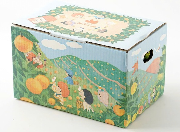 【みかんのみっちゃん農園】バレンシアオレンジ 3kg(約18～21個/7月上旬～8月下旬頃発送予定)