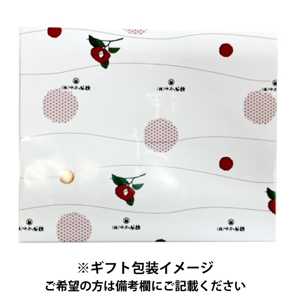 【中本製麺】五島うどんN-6