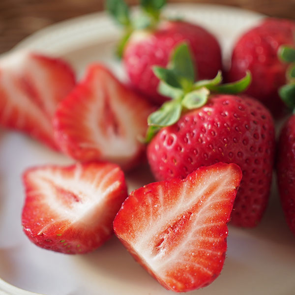 【蝶結び】季節のフルーツ詰め合わせ