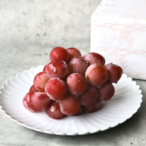 【蝶結び】季節のフルーツ詰め合わせ