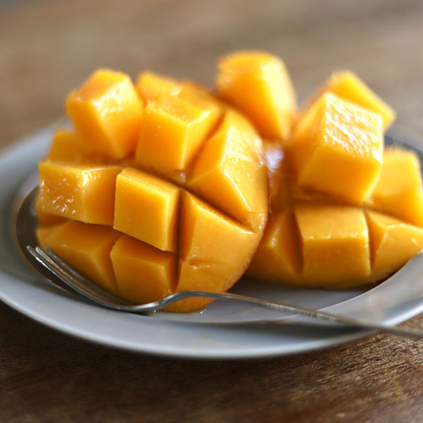 【蝶結び】季節のフルーツ詰め合わせ