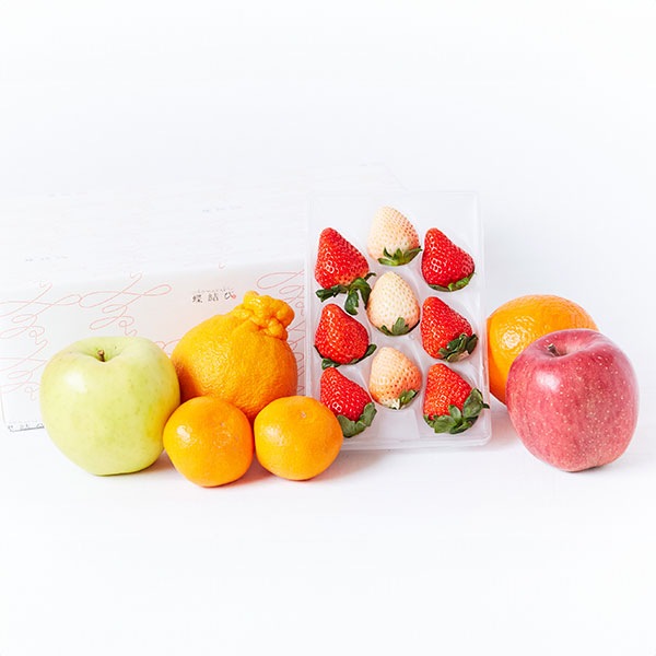 【蝶結び】季節のフルーツ詰め合わせ