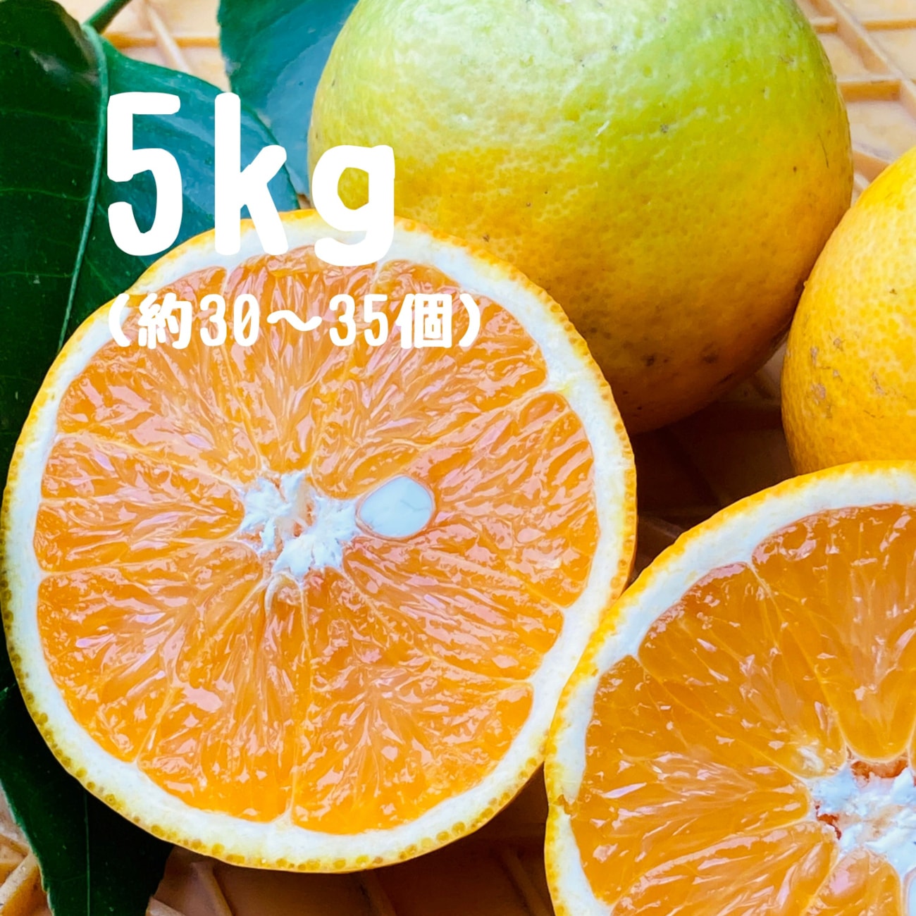 【みかんのみっちゃん農園】バレンシアオレンジ 5kg(30～35個前後/7月上旬～8月下旬頃発送予定)