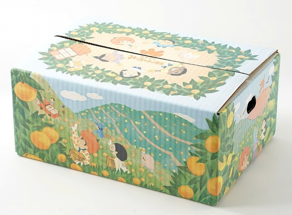 【みかんのみっちゃん農園】バレンシアオレンジ 5kg(30～35個前後/7月上旬～8月下旬頃発送予定)