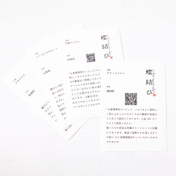 【蝶結び】季節のフルーツ詰め合わせDXセット