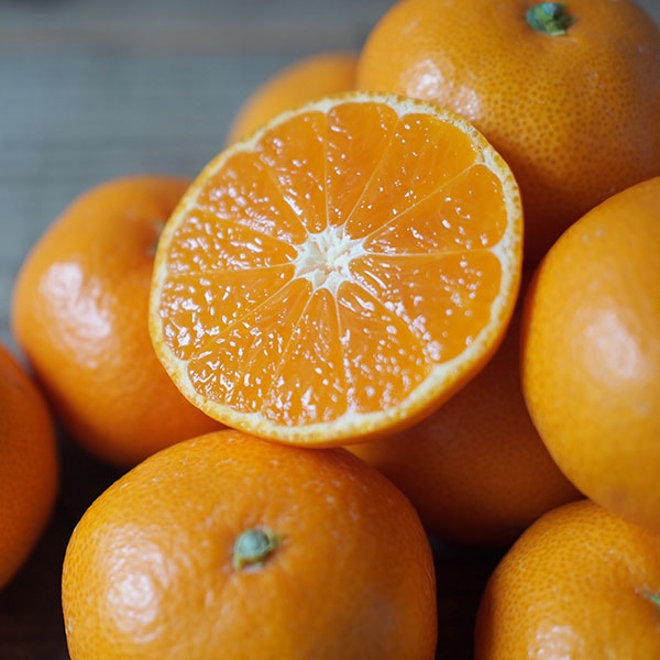 蝶結び】季節のフルーツ詰め合わせDXセット