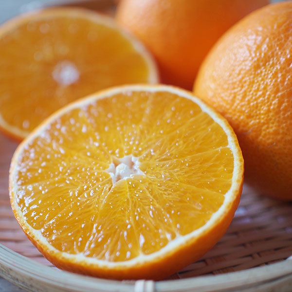 【蝶結び】季節のフルーツ詰め合わせDXセット