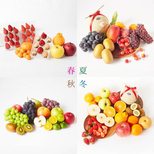 【蝶結び】季節のフルーツ詰め合わせDXセット