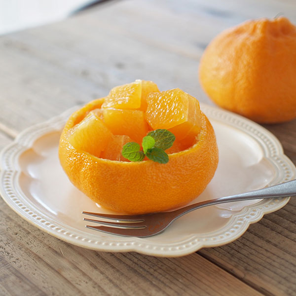 【蝶結び】季節のフルーツ詰め合わせDXセット