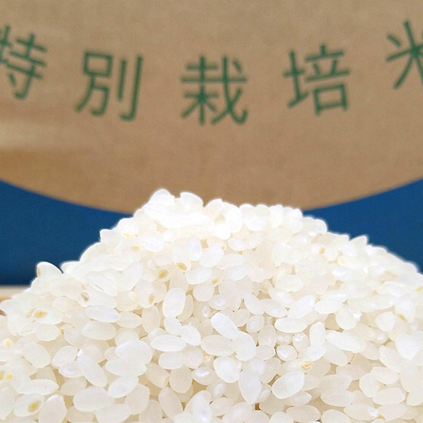 【奥島根弥栄】特別栽培米　秘境奥島根弥栄こしひかり　10㎏