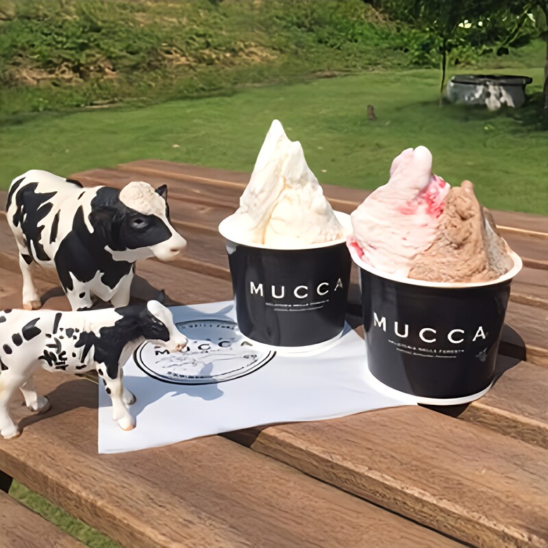 【広野牧場】ジェラート 8個セット