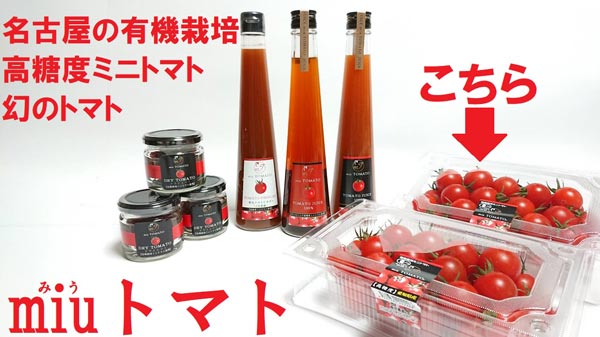 【飯田農園】miuトマト 1000g