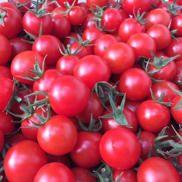 【飯田農園】miuトマト 1000g