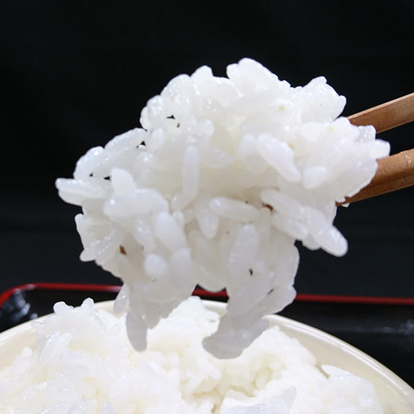 【奥島根弥栄】特別栽培米　秘境奥島根弥栄こしひかり　5㎏