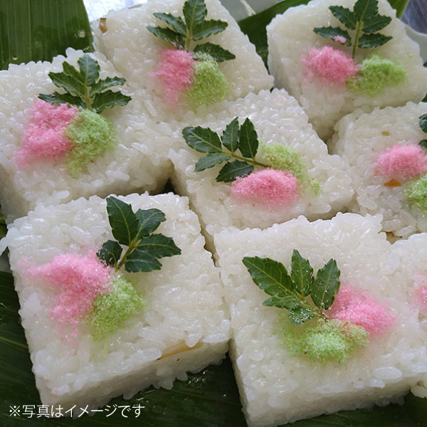 【奥島根弥栄】特別栽培米　秘境奥島根弥栄こしひかり　5㎏