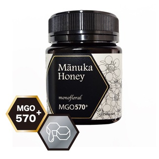 【神楽坂ピービーズ】マヌカハニー MGO570+（１瓶）