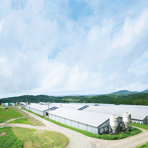 【南州農場】かごしま黒豚　熟成生ハム食べ比べセット