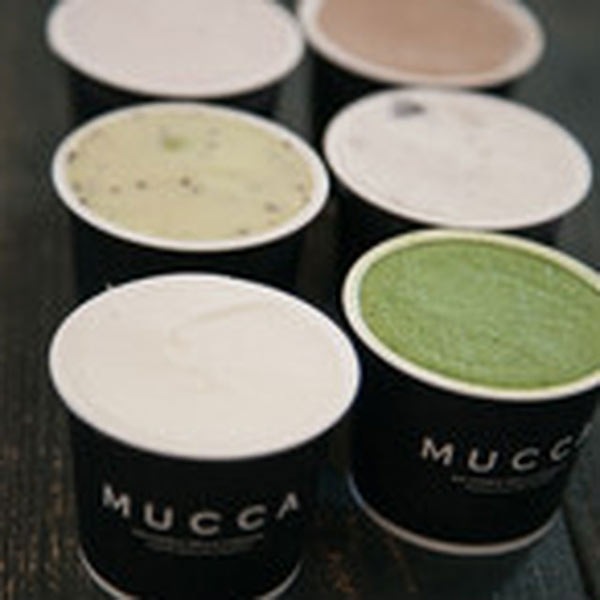 【広野牧場】ジェラート 12個セット