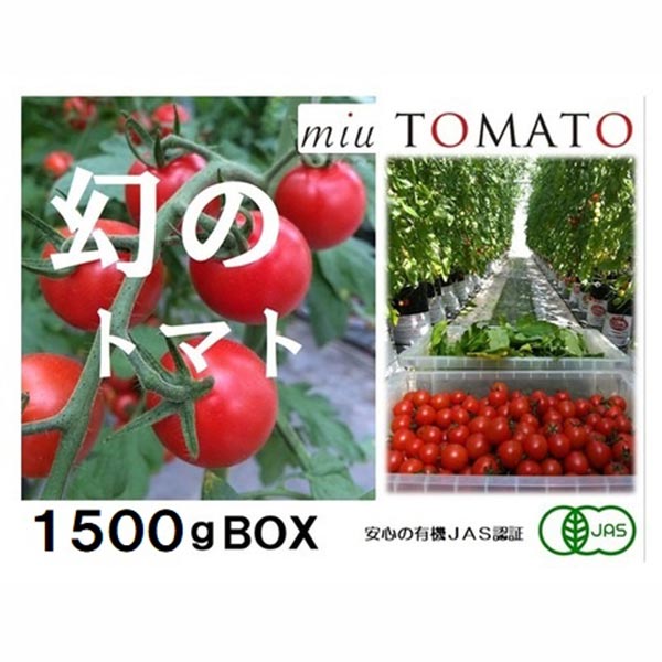 【飯田農園】miuトマト 1500g