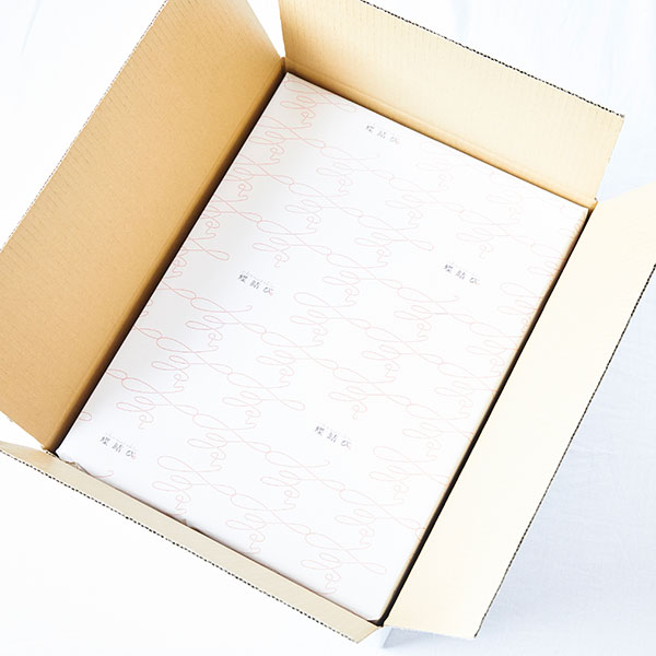 【蝶結び】マスクメロン2玉