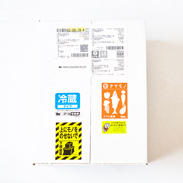 【蝶結び】マスクメロン2玉