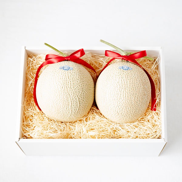 【蝶結び】マスクメロン2玉