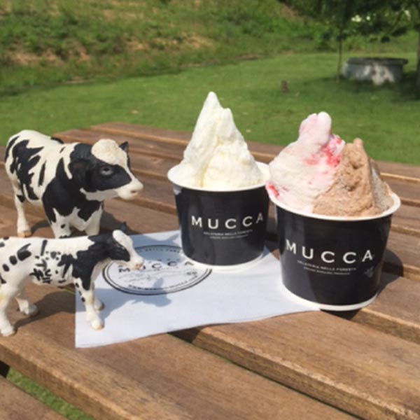 【広野牧場】ジェラート 18個セット