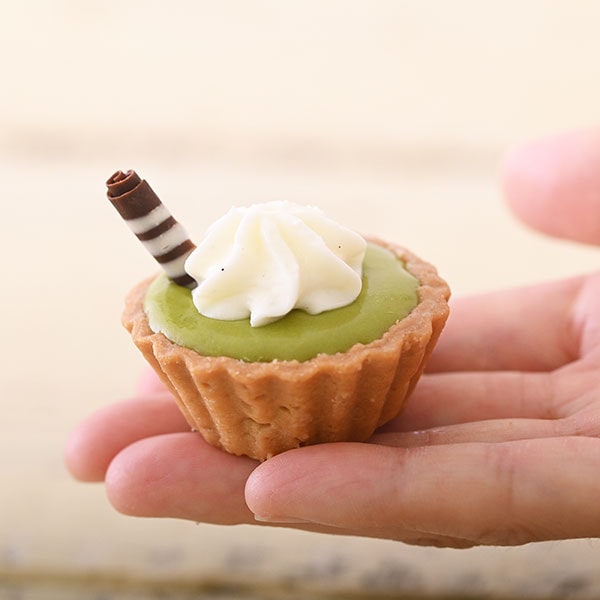 【スタイル】みにたると9個セット