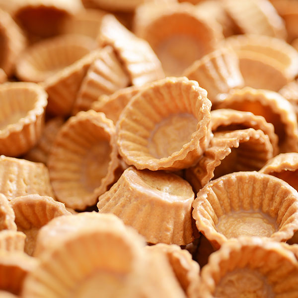 スタイル】みにたると9個セット