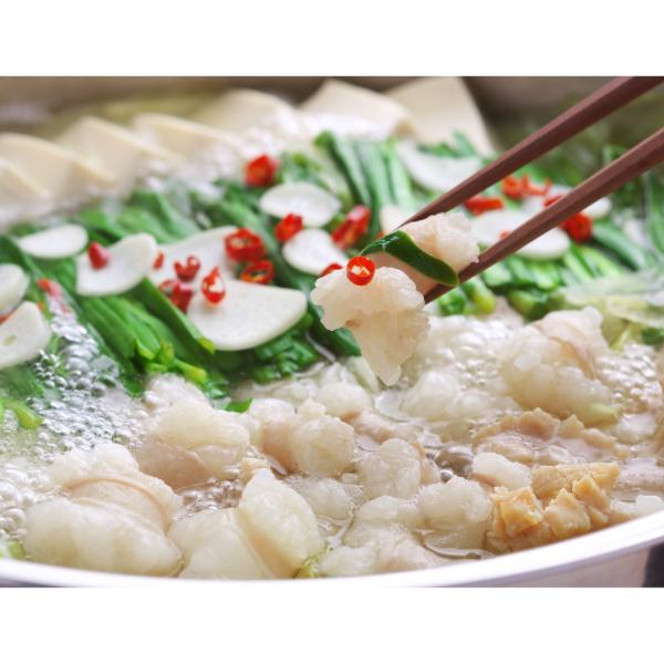 【MEAT PLUS】訳あり!博多醤油もつ鍋 10人前