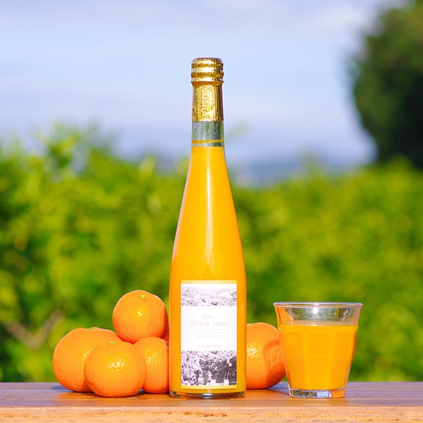 【日下農園】うんしゅうみかん100%ジュース(500ml)BOX入り