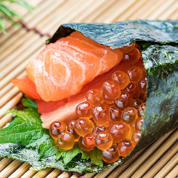 金丸水産】瀬戸内の早どれ海苔《徳用》