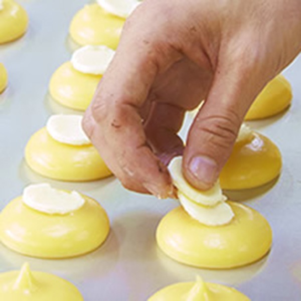 【ムッシュ マスノ】クマの手シューラスク　プレミアムチョコレート