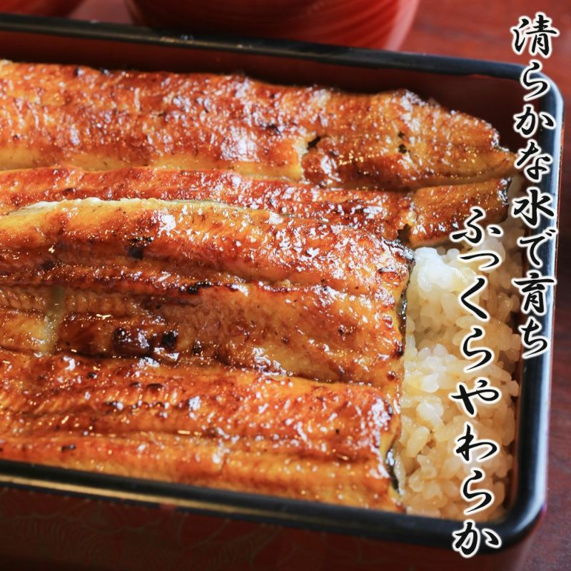 【プレーリードッグ】特大鹿児島産鰻 2尾